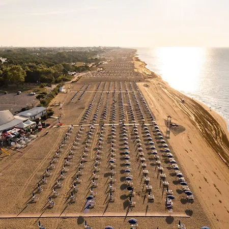 Comfortable Flat With Terrace 100m From The *